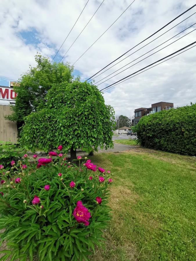 Motel Sainte Catherine Zewnętrze zdjęcie